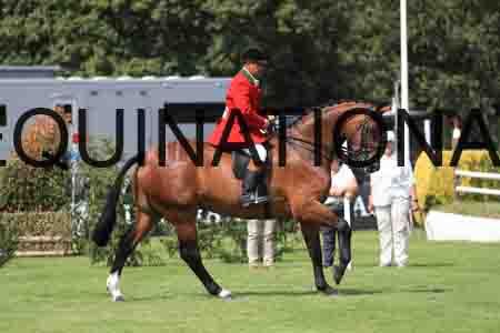 1_OSM-1057