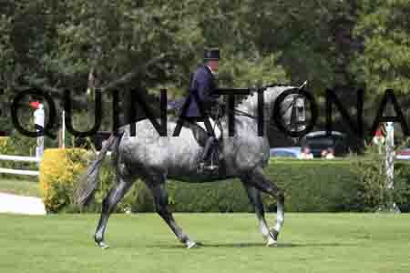 1_OSM-1061