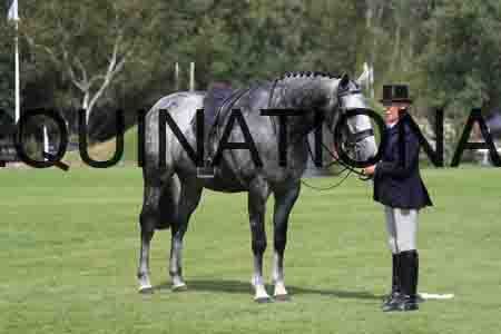 1_OSM-1099