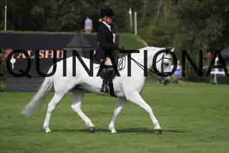 OSM-1262