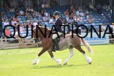OSM-1303