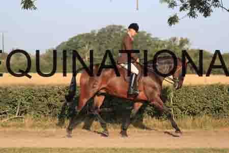 DUB-1011