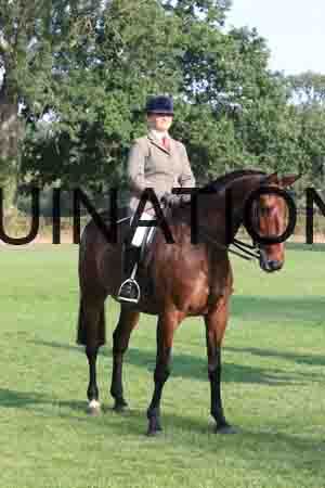 DUB-1358