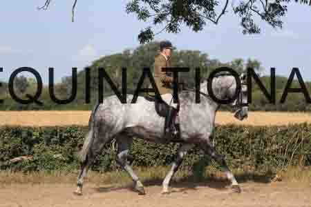 DUB-1649