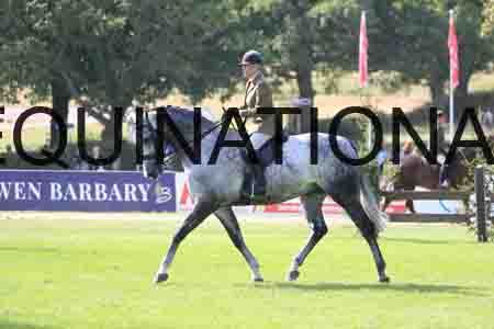 DUB-1744