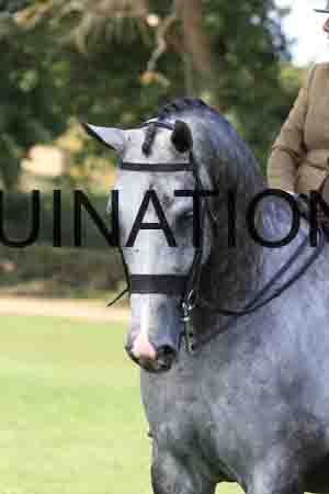 DUB-1860