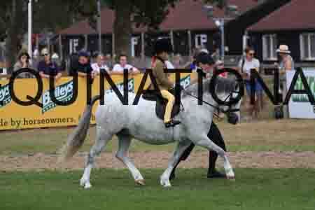 DUB-2635