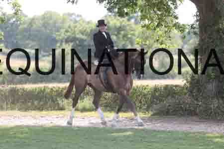 DUB-3928