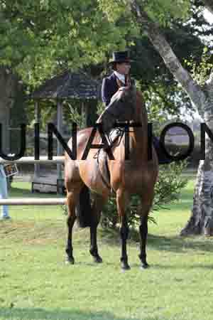 DUB-4236