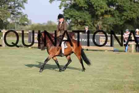 VIK-1478