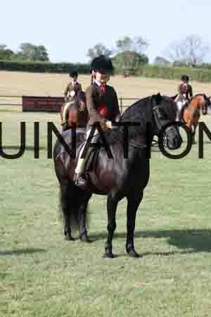 VIK-1921