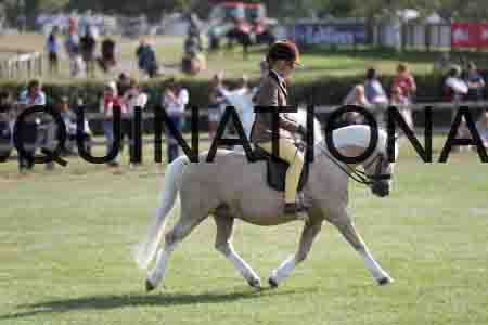 VIK-2161