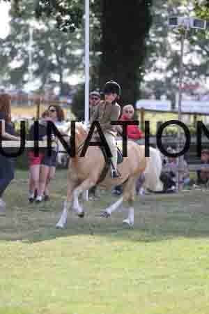 VIK-2617