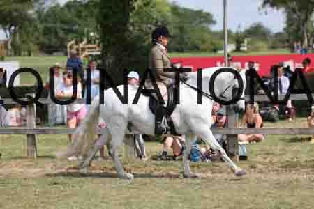 VIK-3465