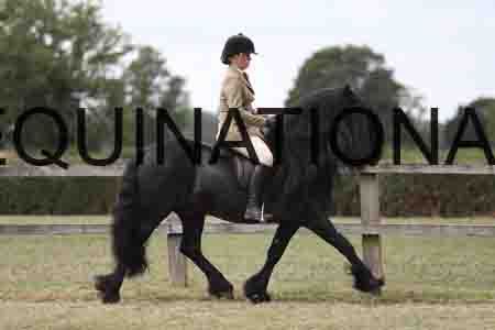 VIK-4112