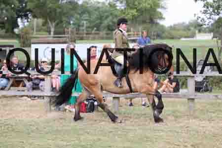 VIK-4610