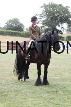 VIK-4784