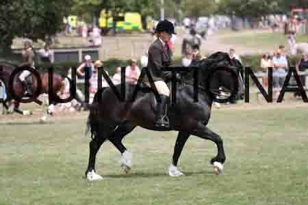 VIK-5213