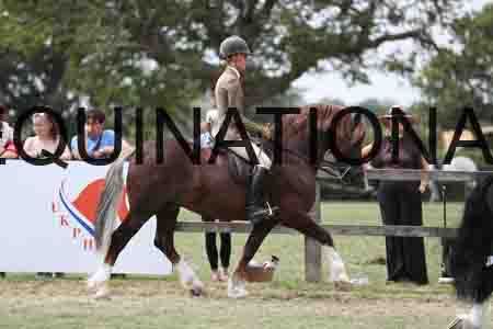 VIK-5273