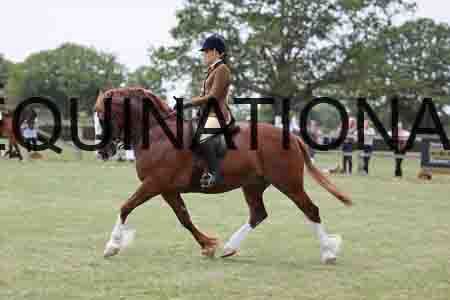 VIK-5595