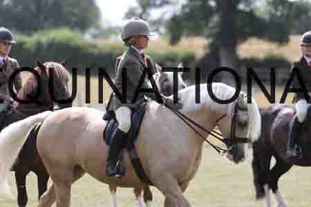 VIK-5890
