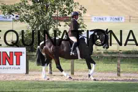 BSP-1108