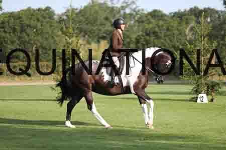 BSP-1165