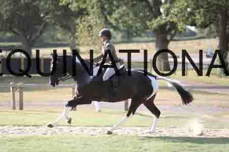 BSP-1252