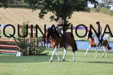 BSP-1389