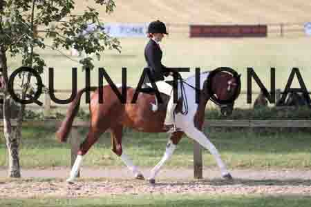 BSP-1893