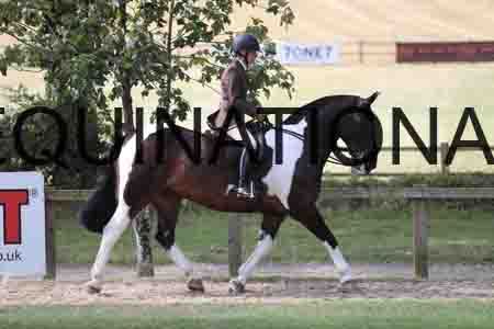 BSP-2627