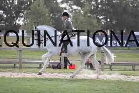 BSP-2863