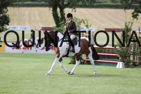 BSP-3021