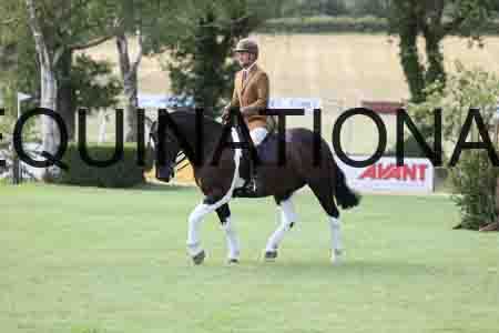 BSP-3027