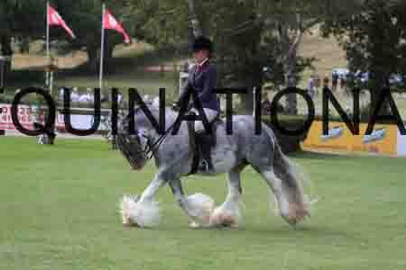BSP-3990