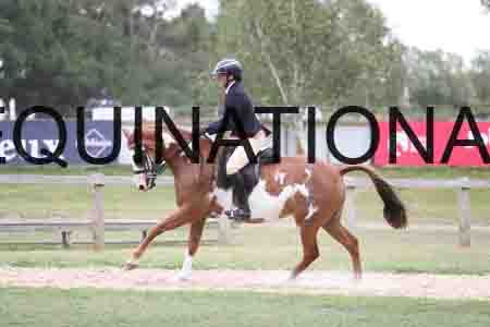 BSP-5027