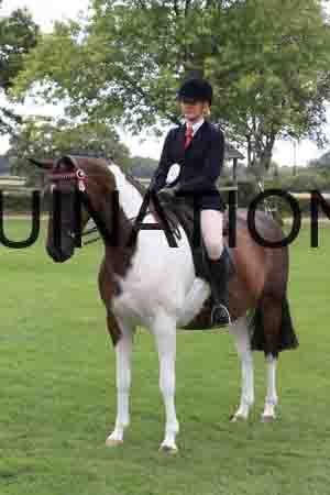 BSP-5500