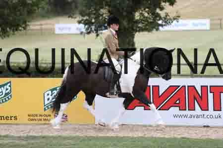 BSP-5552