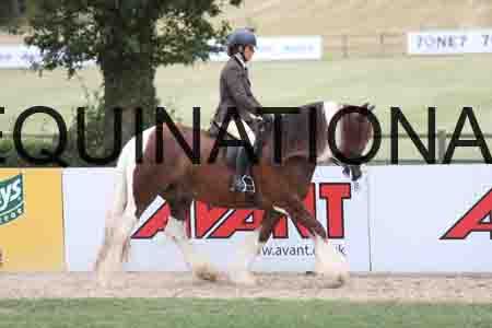 BSP-5584