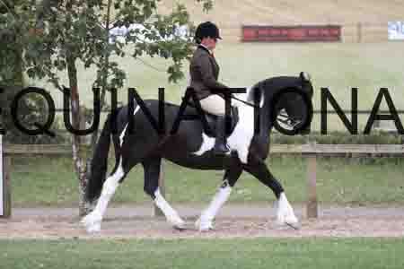 BSP-5599