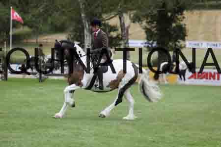 BSP-5927