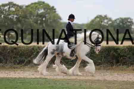 BSP-6396
