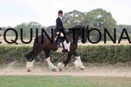 BSP-6867