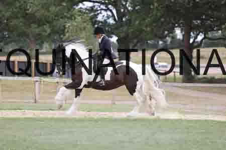 BSP-6941