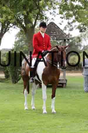 BSP-6982