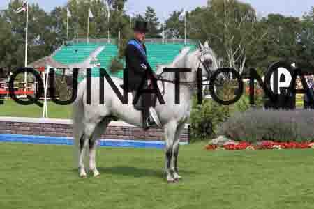 POS-1577
