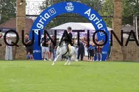 POS-1323