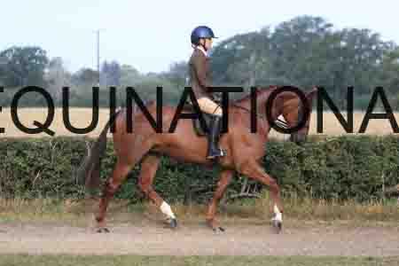 SHC-1060