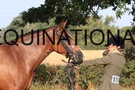 SHC-1376