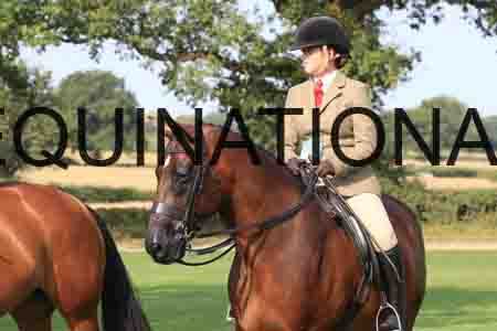 SHC-1596